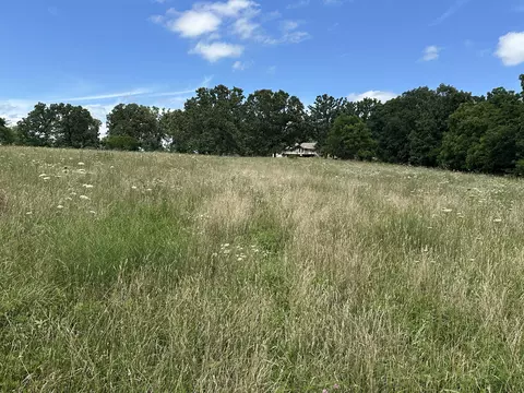 8000 Highway Jj, Mountain Grove, MO 65711