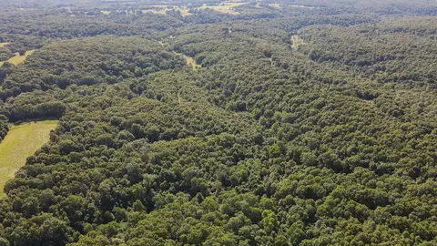 000 Private Drive Off Of Fr 1245, Aurora, MO 65605