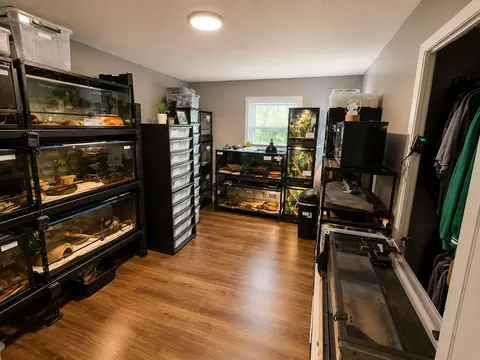 Other - 803 W Morningside St, Springfield, MO 65807 photo 12 of 15