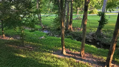 Other - 703 N Marshall St, Marshfield, MO 65706 photo 8 of 11