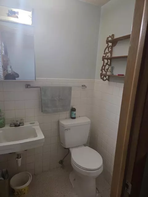 Bath - 902 Canal St, Branson, MO 65616 photo 2 of 2