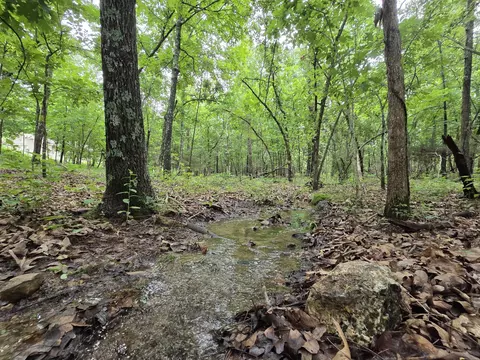 000 Golf Course Rd, Marshfield, MO 65706