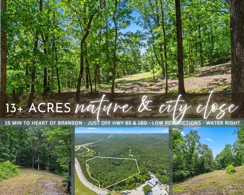 tbd Deer Mountain Rd, Walnut Shade, MO 65771