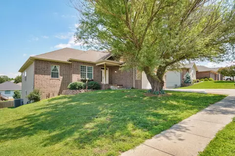 Other - 1083 E Daisy Falls Dr, Nixa, MO 65714 photo 1 of 10