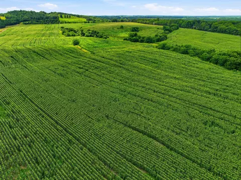 000 Gravel Point Rd, Mountain Grove, MO 65711