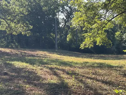 000 County Road 393, Thayer, MO 65791 photo 7