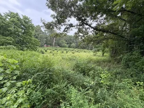 000 County Road 393, Thayer, MO 65791 photo 3