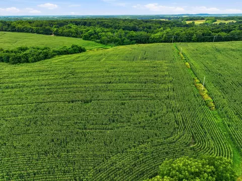 000 Gravel Point Rd #2, Mountain Grove, MO 65711
