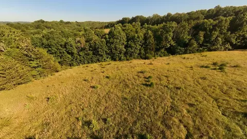 000 Foxden Dr #LOT 2, Gainesville, MO 65655 photo 6