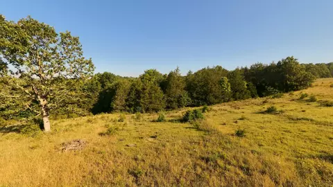 000 Foxden Dr #LOT 3, Gainesville, MO 65655 photo 10