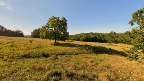 000 Foxden Dr #LOT 3, Gainesville, MO 65655 photo 8