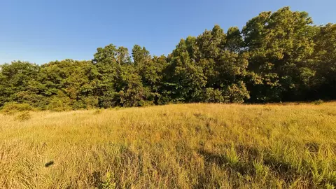 000 Foxden Dr #LOT 3, Gainesville, MO 65655 photo 6