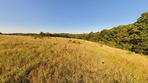 000 Foxden Dr #LOT 3, Gainesville, MO 65655 photo 5