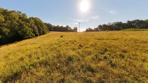 000 Foxden Dr #LOT 3, Gainesville, MO 65655 photo 3
