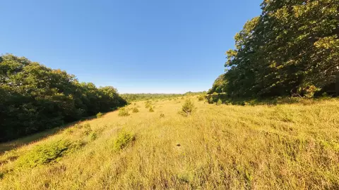 000 Foxden Dr #LOT 4, Gainesville, MO 65655 photo 5