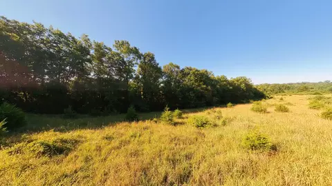 000 Foxden Dr #LOT 4, Gainesville, MO 65655 photo 6