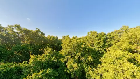 000 Foxden Dr #LOT 4, Gainesville, MO 65655 photo 14