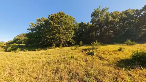 000 Foxden Dr #LOT 4, Gainesville, MO 65655 photo 4