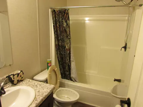 Bath - 1315 Summit Rd, Grovespring, MO 65662 photo 3 of 3