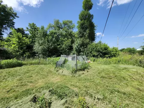 Exterior - 8885 Park St, Birch Tree, MO 65438 photo 8 of 14