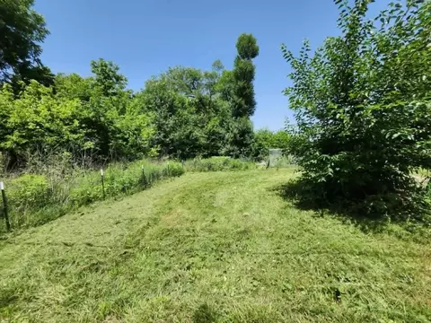 Exterior - 8885 Park St, Birch Tree, MO 65438 photo 14 of 14