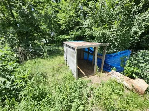 Exterior - 8885 Park St, Birch Tree, MO 65438 photo 11 of 14