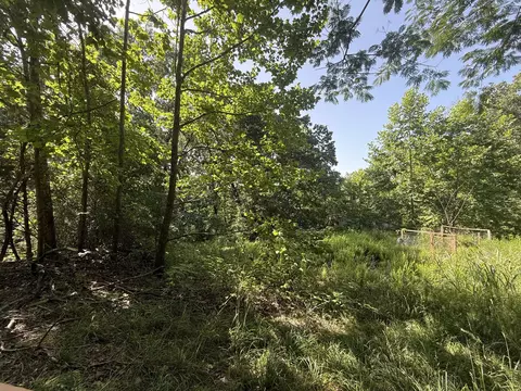 tbd Center Rd, Ozark, MO 65721 photo 6