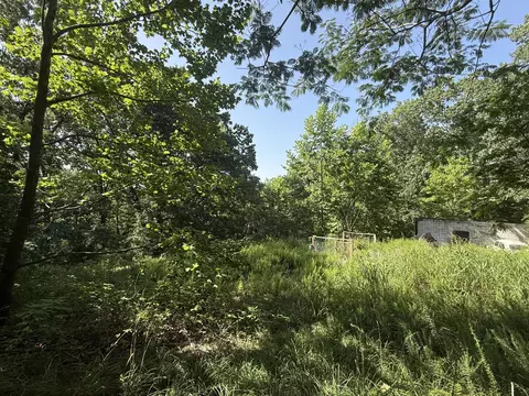 tbd Center Rd, Ozark, MO 65721 photo 7