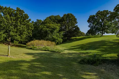 Exterior - 882 Trout Rd, Ozark, MO 65721 photo 5 of 5