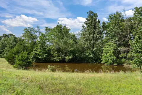 View/Area - 363 Villa Dr, Sparta, MO 65753 photo 7 of 7