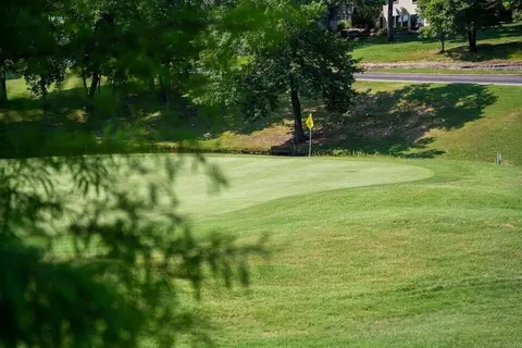 Other - 193 Avondale Dr #4, Branson, MO 65616 photo 4 of 7