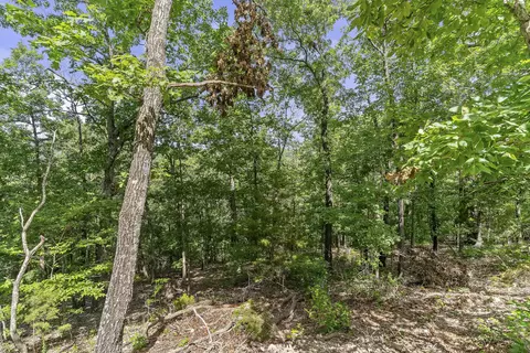 Exterior - 329 N Ridge Pl, Branson, MO 65616 photo 9 of 13