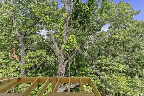 Other - 329 N Ridge Pl, Branson, MO 65616 photo 6 of 7
