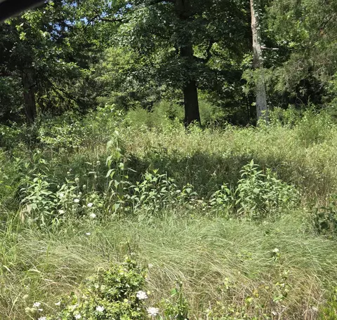 tbd Green Briar Dr, Branson, MO 65616 photo 3