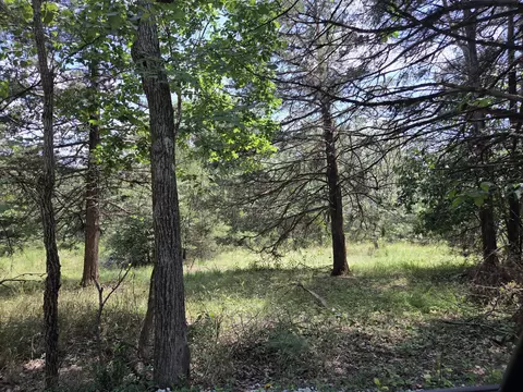 tbd Green Briar Dr, Branson, MO 65616 photo 5