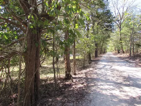 tbd Green Briar Dr, Branson, MO 65616 photo 8
