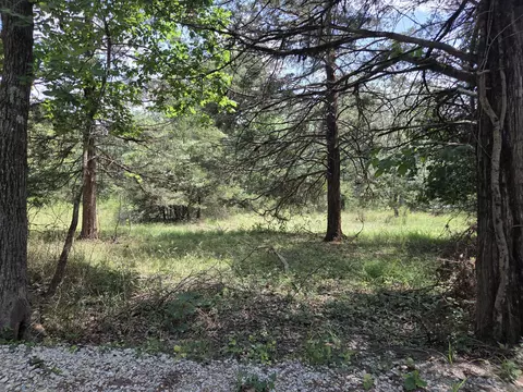 tbd Green Briar Dr, Branson, MO 65616 photo 7