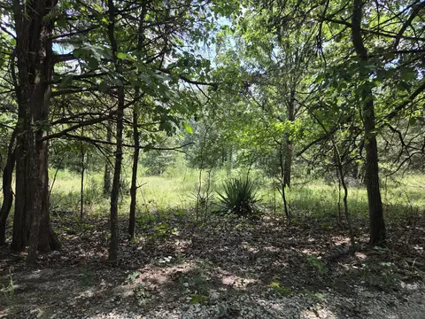 tbd Green Briar Dr, Branson, MO 65616 photo 6