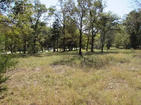 tbd Green Briar Dr, Branson, MO 65616 photo 9