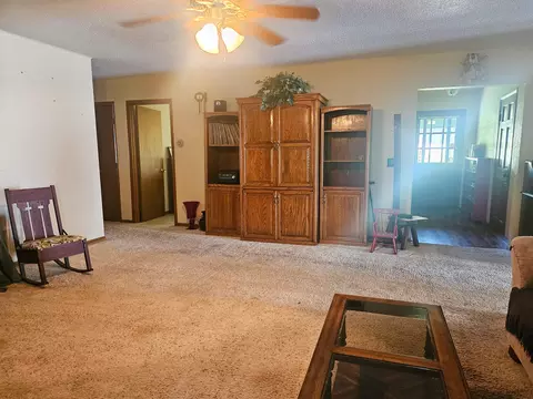 Living - 8737 Sapper St, Winona, MO 65588 photo 2 of 7