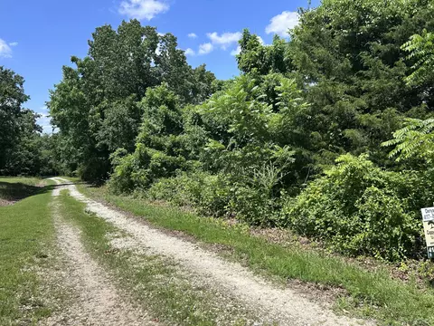 000 Mcdonald Pl #TRACT 2 QUAIL TRAILS, Shell Knob, MO 65747 photo 2
