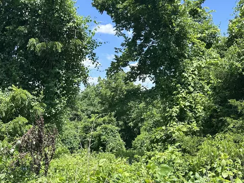 000 Mcdonald Pl #TRACT 2 QUAIL TRAILS, Shell Knob, MO 65747 photo 4