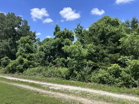 000 Mcdonald Pl #TRACT 2 QUAIL TRAILS, Shell Knob, MO 65747 photo 3