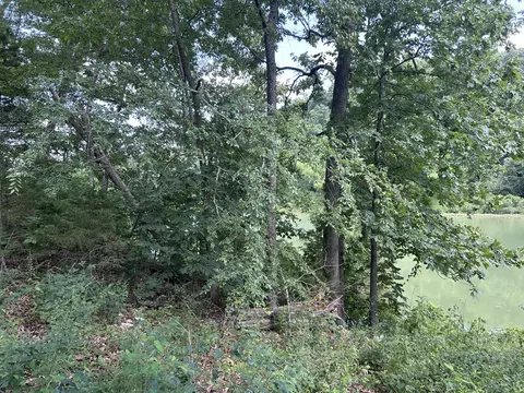 000 Saint Johns Wood Ln, Shell Knob, MO 65747 photo 8