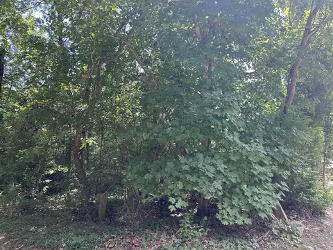 000 Saint Johns Wood Ln, Shell Knob, MO 65747 photo 6