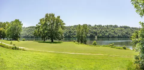 115 Snapper St, Branson, MO 65616 photo 48