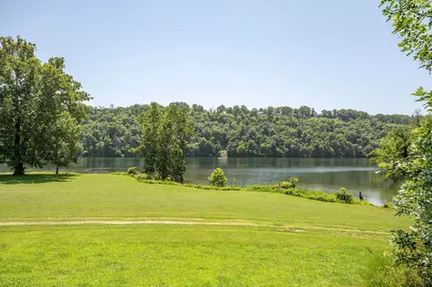 115 Snapper St, Branson, MO 65616 photo 46