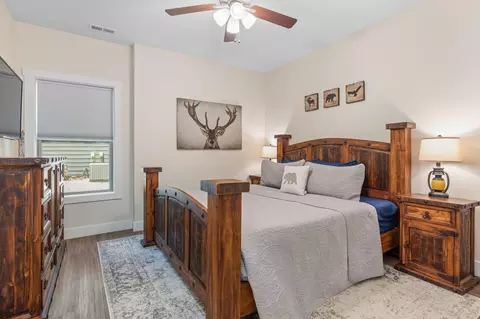 115 Snapper St, Branson, MO 65616 photo 30