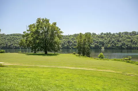 115 Snapper St, Branson, MO 65616 photo 47