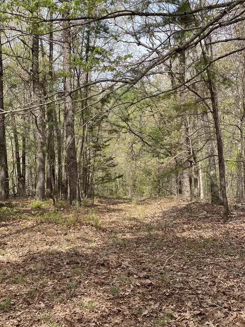 Other - 3365 County Road 153, Gainesville, MO 65655 photo 5 of 15